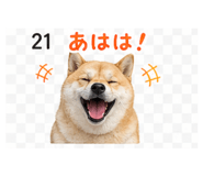 839262549