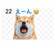 839262550