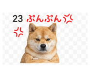 839262551