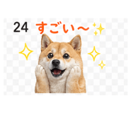 839262552