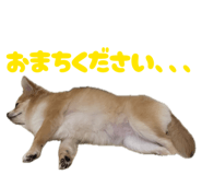 839262606