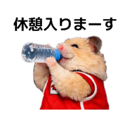 839262711