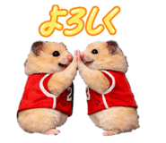 839262712
