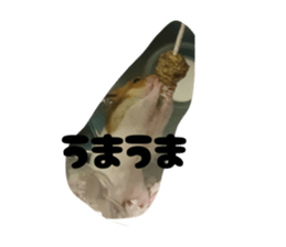 839264372