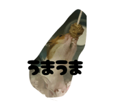 839264372