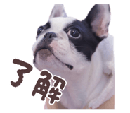 839264770