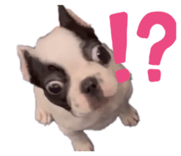839264773