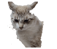 839265075