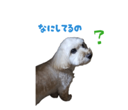 839265159