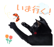 839266069