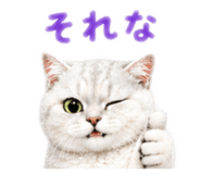 839266462