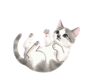 839267204
