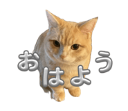839267513