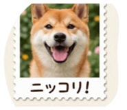839268567