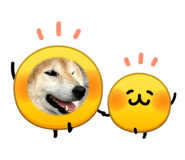 839268919