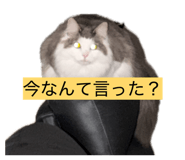839268927