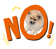 839270259