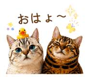 839270592