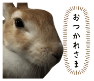 839270968