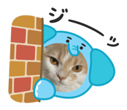 839271215
