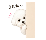 839272033