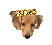 839272106