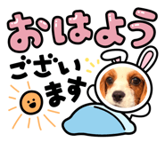 839272164