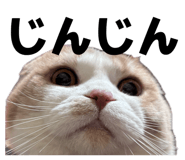 839272752