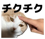 839272755