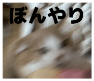 839272756