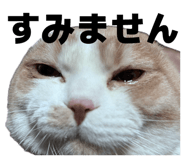 839272768