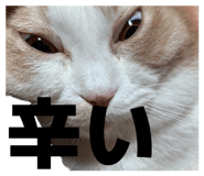 839272770