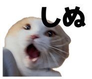 839272773