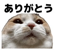 839272780