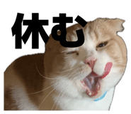 839272782