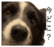 839272967