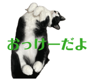 839273099