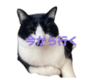 839273111