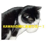 839273114