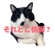 839273115