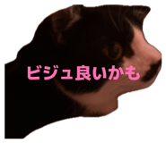 839273117