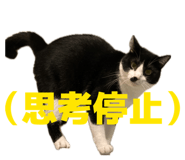 839273121