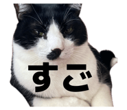 839273122