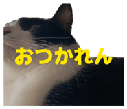 839273124