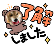 839273313