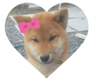 839273336