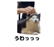 839273363