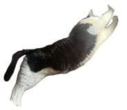 839273379