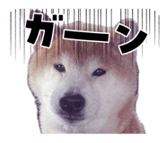 839273809