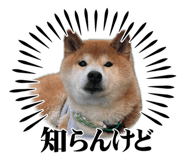 839273815